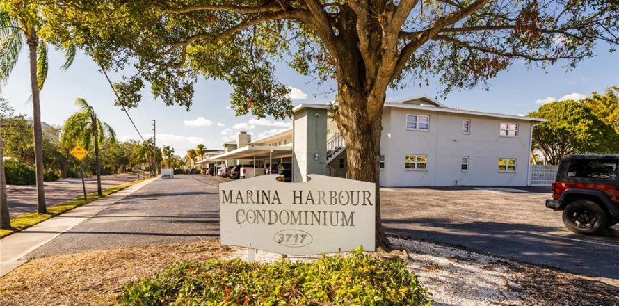 Condo in Saint Petersburg, Florida, 1 bedroom № 1532335