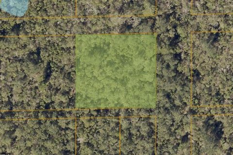 Land in Deltona, Florida № 1383157 - photo 1