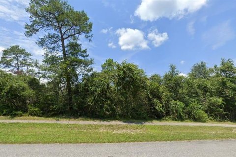 Land in Deltona, Florida № 1383157 - photo 2