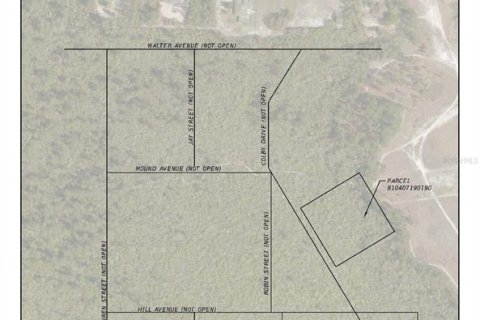 Land in Deltona, Florida № 2225635 - photo 4