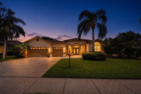 House in Palm Harbor, Florida 4 bedrooms, 292.08 sq.m. № 2266671