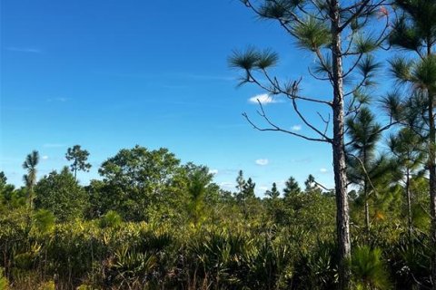 Land in Lake Wales, Florida № 2160216 - photo 2
