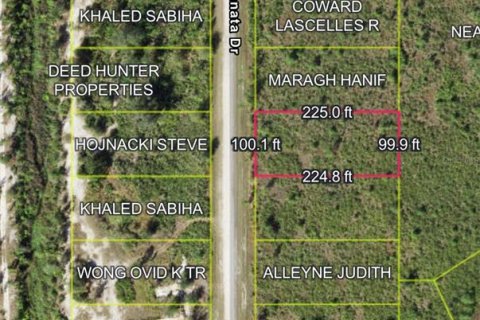 Land in Lake Wales, Florida № 2160216 - photo 4