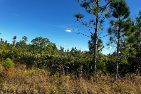 Land in Lake Wales, Florida № 2160216