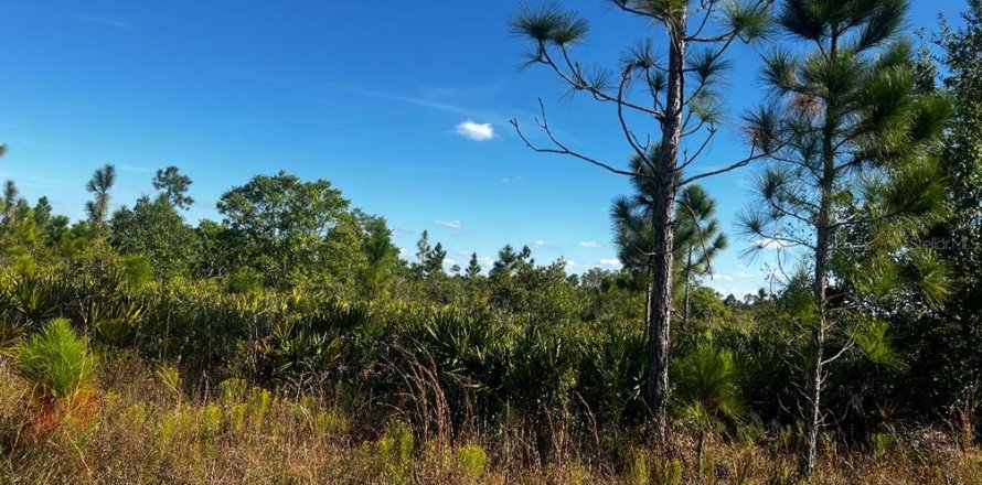Land in Lake Wales, Florida № 2160216