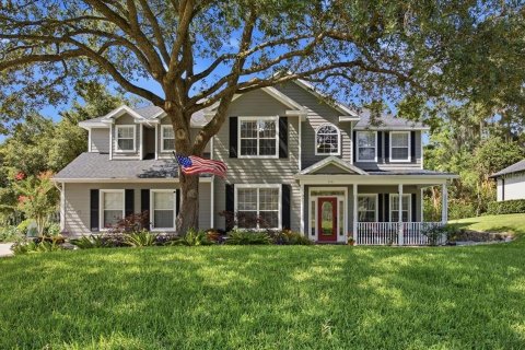 House in Winter Garden, Florida 4 bedrooms, 284.37 sq.m. № 2217195