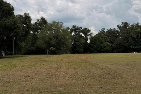 Terrain à Webster, Floride № 2103460
