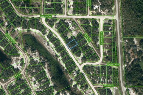 Land in Lake Placid, Florida № 2236174