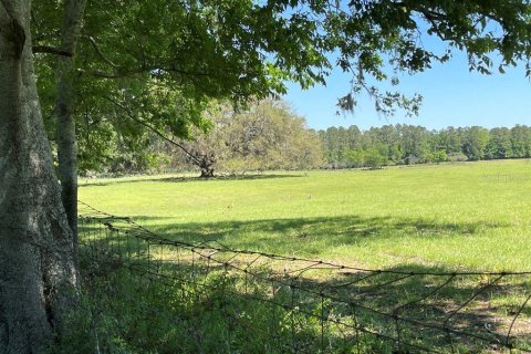 Land in Alachua, Florida № 1812670 - photo 4
