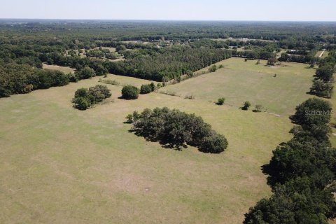 Land in Alachua, Florida № 1812670 - photo 7