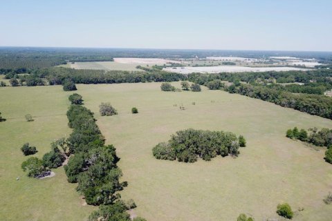Land in Alachua, Florida № 1812670 - photo 6