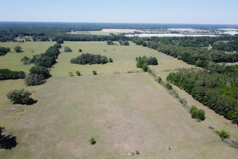 Land in Alachua, Florida № 1812670 - photo 2