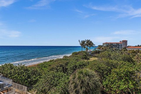 Condo in South Palm Beach, Florida, 1 bedroom № 2169941 - photo 29