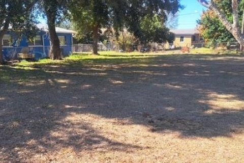 Land in Lake Wales, Florida № 2159805 - photo 5