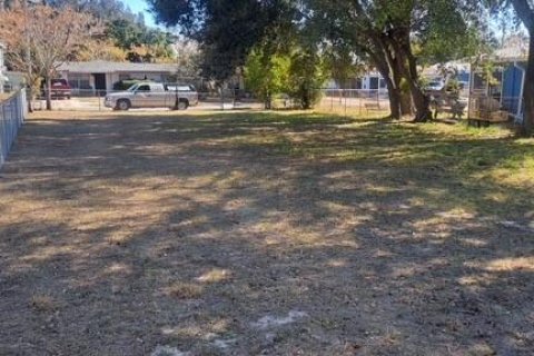 Land in Lake Wales, Florida № 2159805 - photo 4