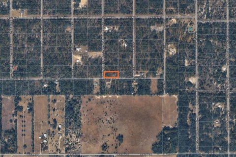 Terreno en venta en Dunnellon, Florida № 2165612 - foto 2