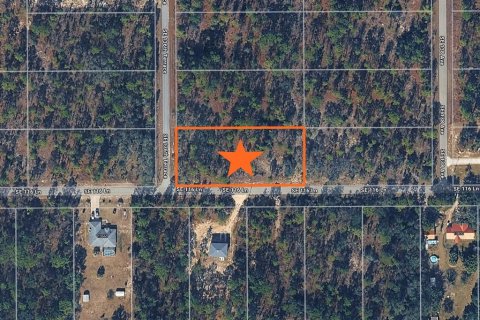 Terreno en Dunnellon, Florida № 2165612