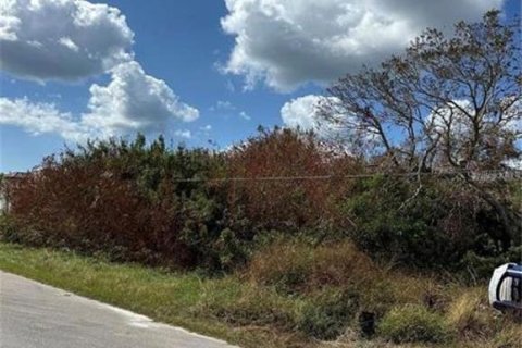 Land in Rotonda, Florida № 2228668