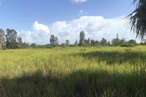 Terrain à vendre à Punta Gorda, Floride № 2239824 - photo 27