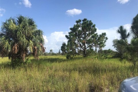 Terrain à vendre à Punta Gorda, Floride № 2239824 - photo 26
