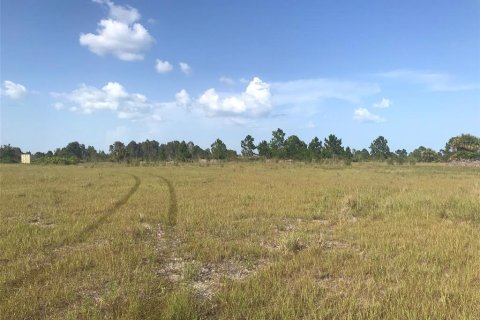 Terrain à vendre à Punta Gorda, Floride № 2239824 - photo 17