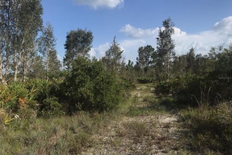 Terrain à vendre à Punta Gorda, Floride № 2239824 - photo 21