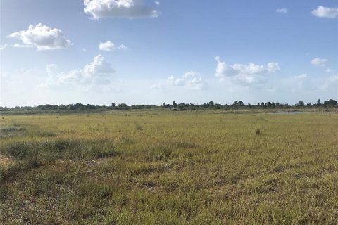 Terrain à vendre à Punta Gorda, Floride № 2239824 - photo 11