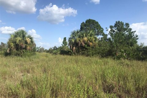 Terrain à vendre à Punta Gorda, Floride № 2239824 - photo 10