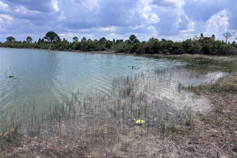 Terrain à vendre à Punta Gorda, Floride № 2239824 - photo 16