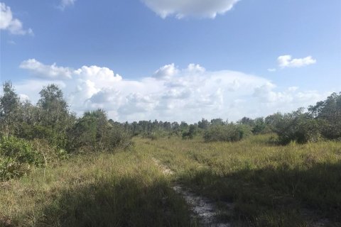 Terrain à vendre à Punta Gorda, Floride № 2239824 - photo 24