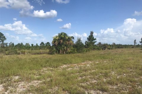 Terrain à vendre à Punta Gorda, Floride № 2239824 - photo 25