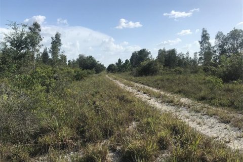 Terrain à vendre à Punta Gorda, Floride № 2239824 - photo 22
