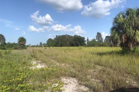 Terrain à vendre à Punta Gorda, Floride № 2239824 - photo 23
