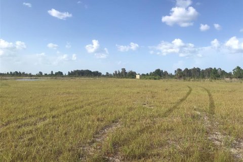 Terrain à vendre à Punta Gorda, Floride № 2239824 - photo 5