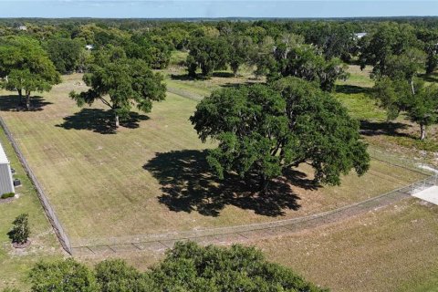 Terrain à vendre à Umatilla, Floride № 2156673 - photo 6