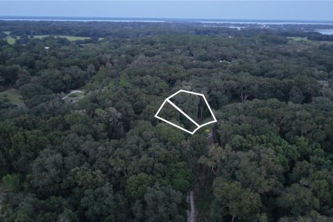 Land in Crescent City, Florida № 2387406 - photo 23