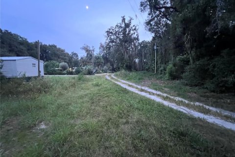 Land in Crescent City, Florida № 2387406 - photo 3