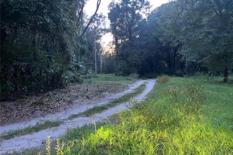Land in Crescent City, Florida № 2387406 - photo 17