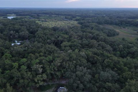 Land in Crescent City, Florida № 2387406 - photo 25