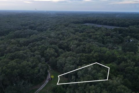 Land in Crescent City, Florida № 2387406 - photo 15