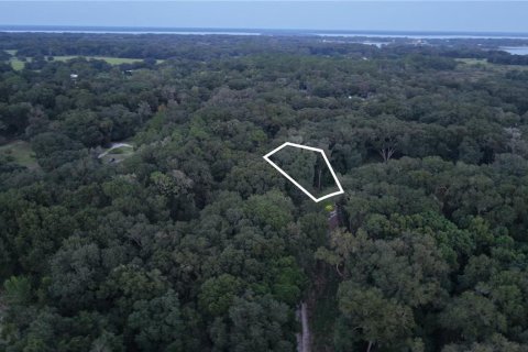 Land in Crescent City, Florida № 2387406 - photo 21