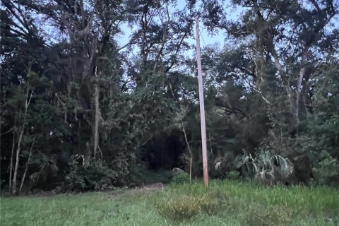 Land in Crescent City, Florida № 2387406 - photo 2