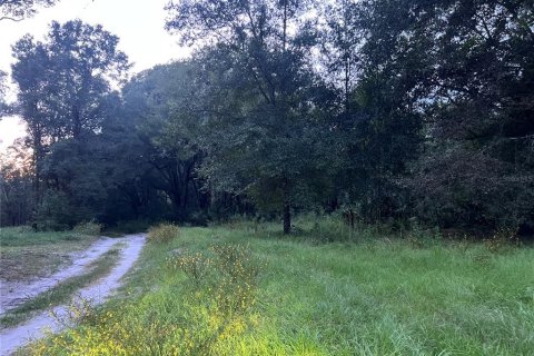 Land in Crescent City, Florida № 2387406 - photo 18