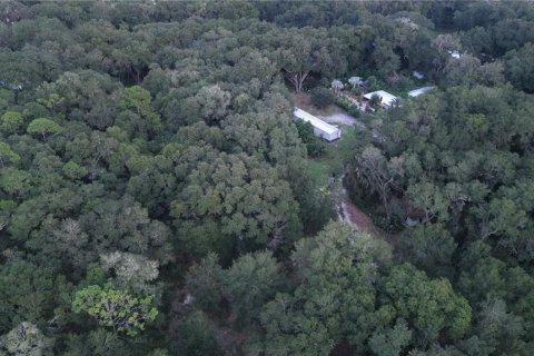 Land in Crescent City, Florida № 2387406 - photo 22