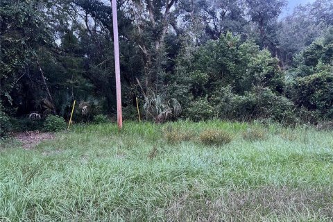 Land in Crescent City, Florida № 2387406 - photo 7