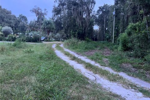 Land in Crescent City, Florida № 2387406 - photo 12