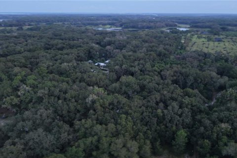 Land in Crescent City, Florida № 2387406 - photo 19
