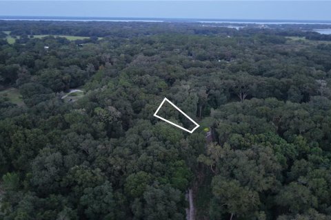 Land in Crescent City, Florida № 2387406 - photo 20