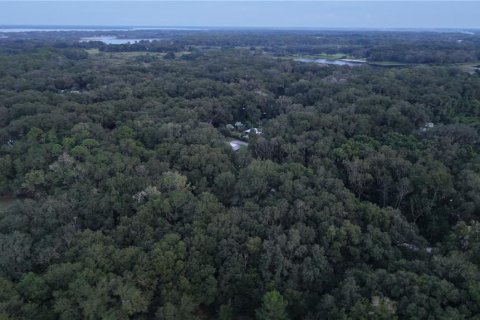 Land in Crescent City, Florida № 2387406 - photo 11