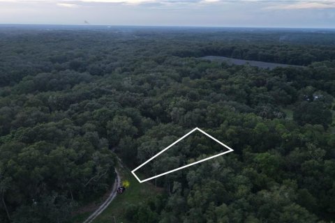 Land in Crescent City, Florida № 2387406 - photo 16